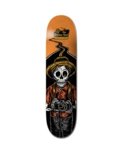 Element Timber Endless Road Snap Shot - Skateboard Deck