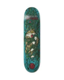 Element Trapped Westgate 8" - Skateboard Deck
