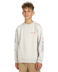 Smokey Bear X Element Please - Sweatshirt For Boys 8-16 -Element elbsf00120 elementw wcdh frt1