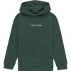 Element Marching Ants - Pullover Hoodie For Boys 8-16 -Element elbsf00148 elementf grt0 frt1