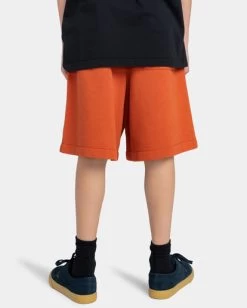 Element Cornell 3.0 - Sweat Shorts For Boys 8-16 -Element elbws00101 elementw nqv0 bck1