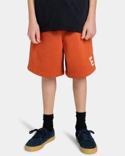Element Cornell 3.0 - Sweat Shorts For Boys 8-16 -Element elbws00101 elementw nqv0 frt1