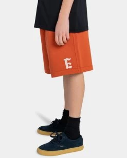 Element Cornell 3.0 - Sweat Shorts For Boys 8-16 -Element elbws00101 elementw nqv0 frt2