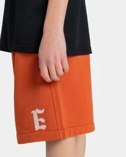 Element Cornell 3.0 - Sweat Shorts For Boys 8-16 -Element elbws00101 elementw nqv0 frt3