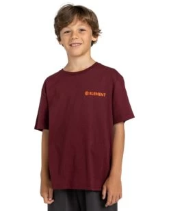 Element Blazin - T-Shirt For Boys 8-16 -Element elbzt00108 elementw rsp0 frt1