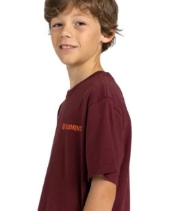 Element Blazin - T-Shirt For Boys 8-16 -Element elbzt00108 elementw rsp0 frt3