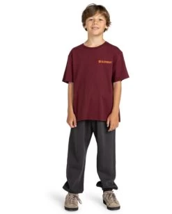 Element Blazin - T-Shirt For Boys 8-16 -Element elbzt00108 elementw rsp0 frt9