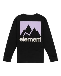 Element Joint 2.0 - Long Sleeve T-Shirt For Boys 8-16 -Element elbzt00162 elementf fbk bck1