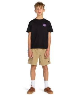 Element Sandy - T-Shirt For Boys 8-16 -Element elbzt00175 elementw fbk frt9