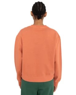 Element Cornell 3.0 - Pullover Sweatshirt For Women -Element eljft00113 elementw cnb0 bck1