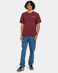 Element Regular - Regular Fit Jeans For Men -Element elydp00112 elementw bnt0 frt9