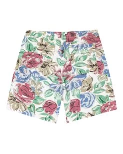 Element Cairn Twill - Elasticated Shorts For Men -Element elyws00107 elementf wbv6 bck1