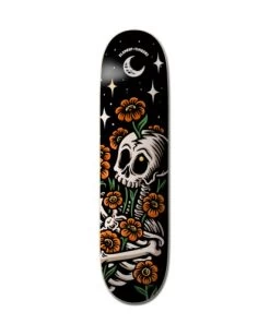 Element X Timber! 8.5" Late Bloomers Bygone - Skate Deck
