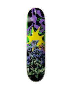 Element 8.25" Combine Gabriel - Skate Deck